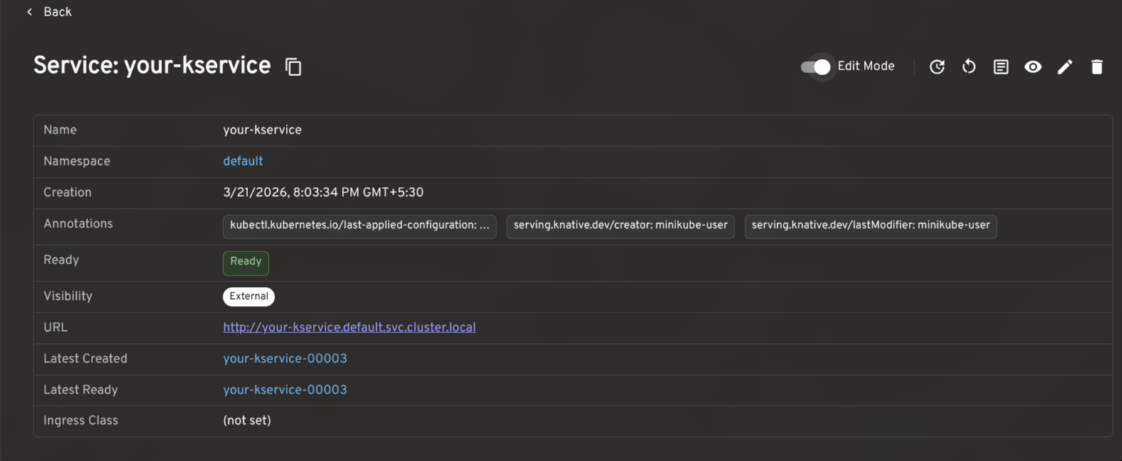 Knative Service Detail View